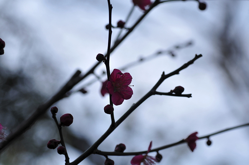 image0102