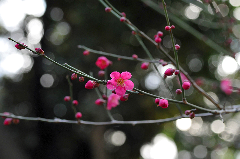 image0103