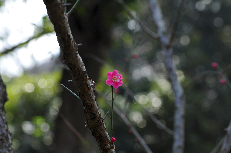 image0104