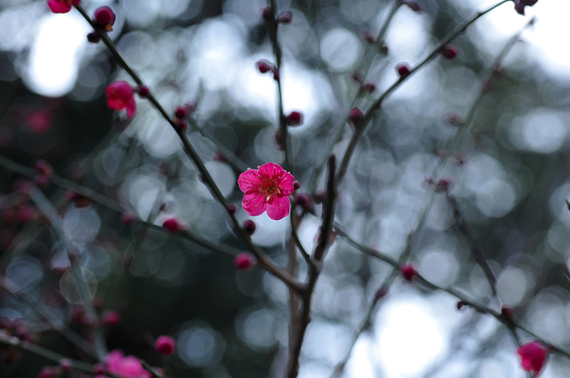 image0105