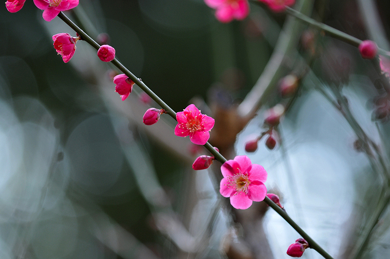 image0107
