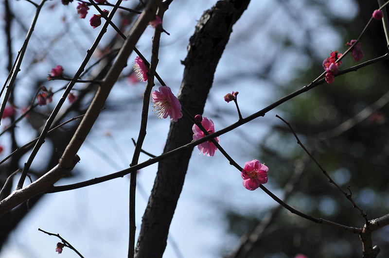 image0115