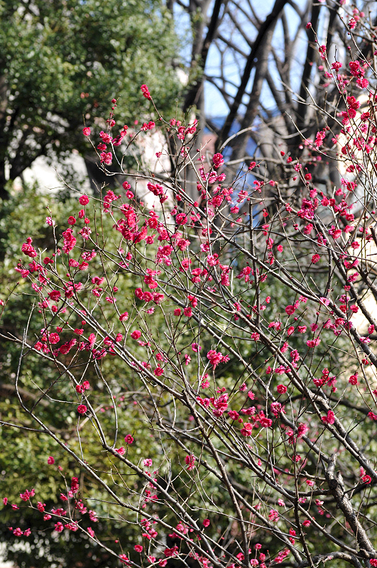 image0118