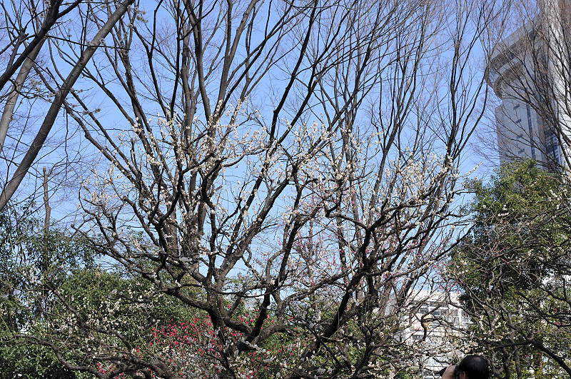 image0119