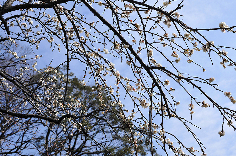 image0131