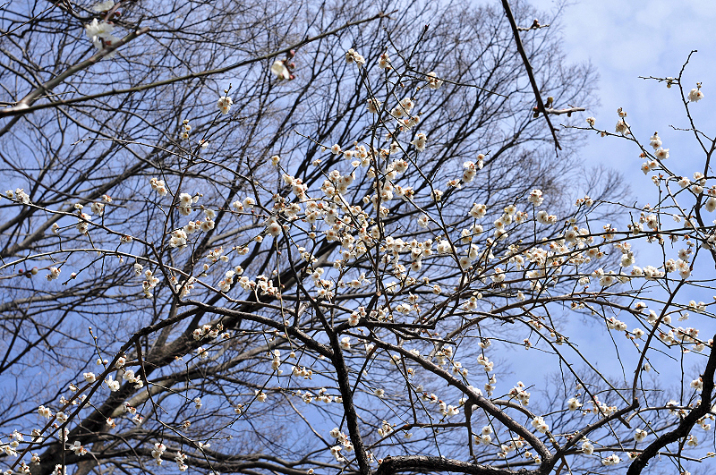 image0133