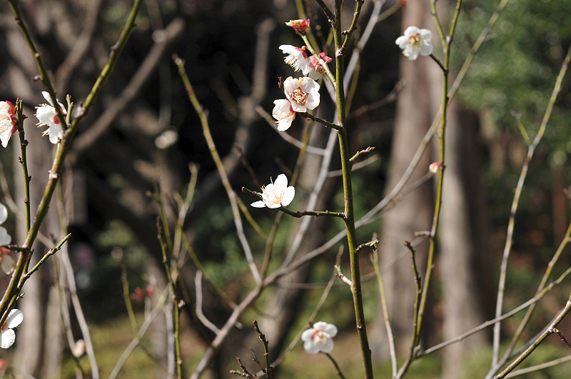 image0137