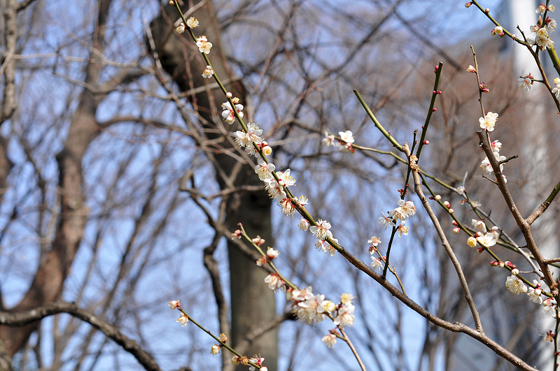 image0141
