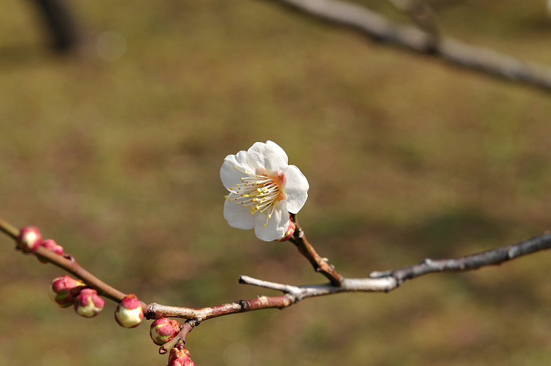 image0159