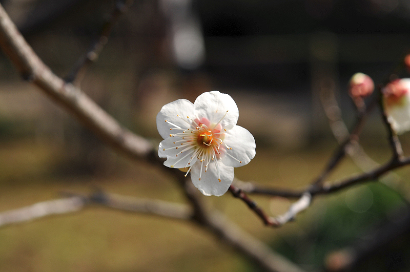image0160