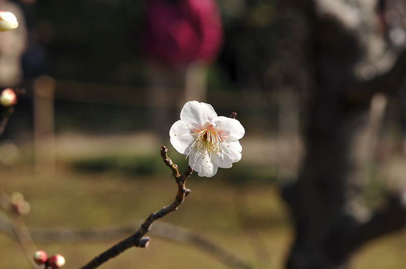 image0161