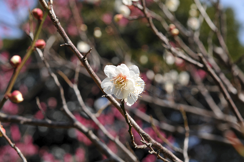 image0163