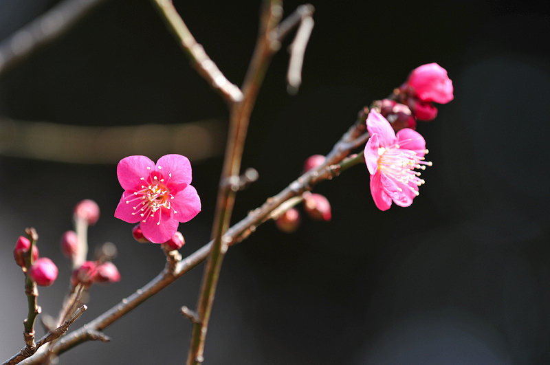 image0172