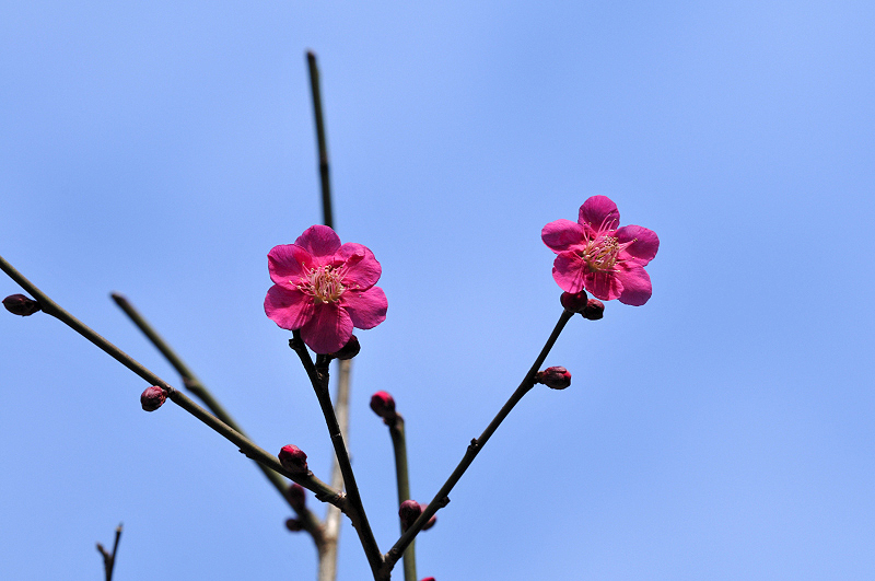 image0177