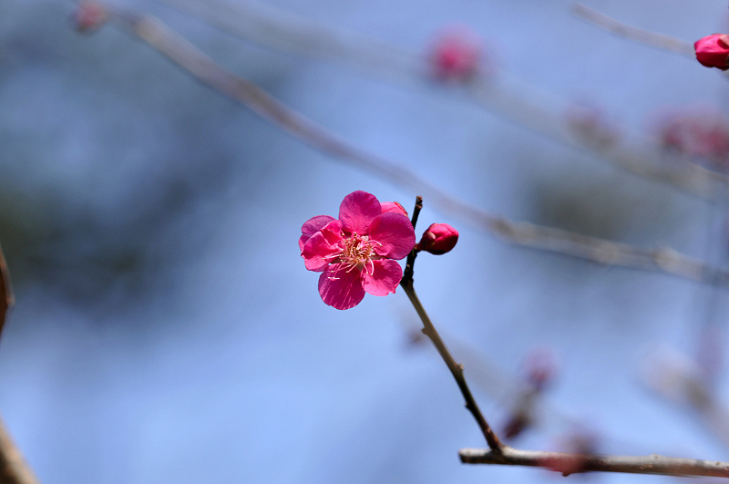 image0178