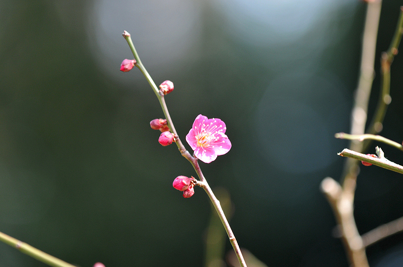 image0182