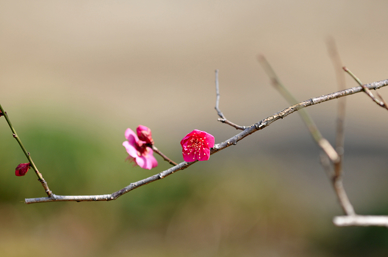 image0183