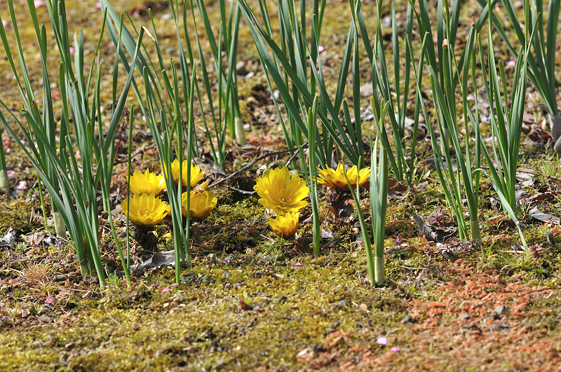 image0190