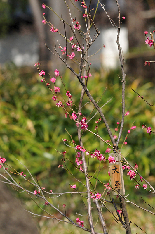 image0191