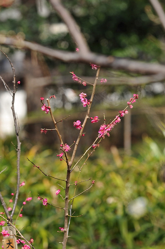 image0192
