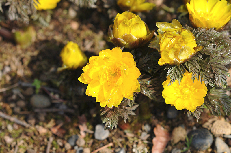 image0193