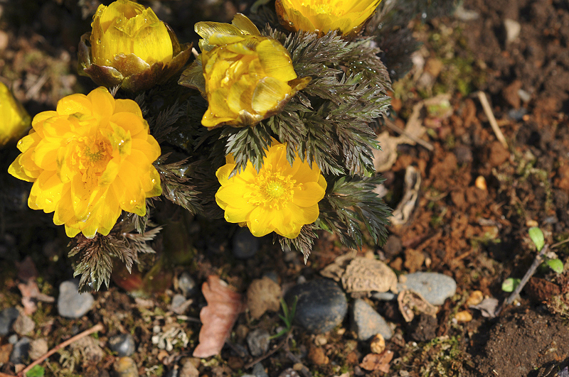 image0194