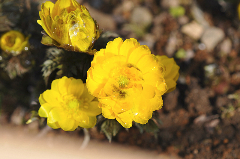 image0195