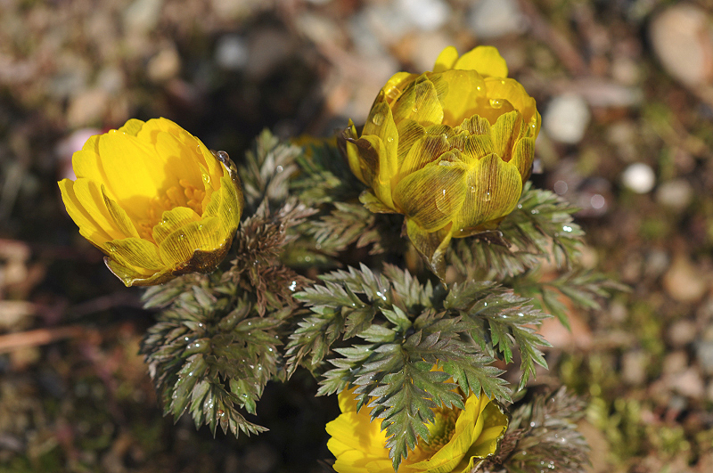 image0196