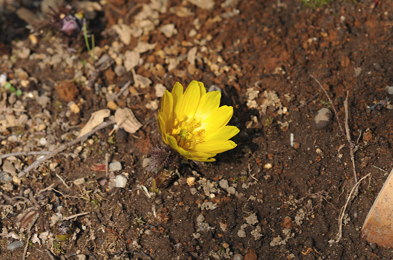 image0197