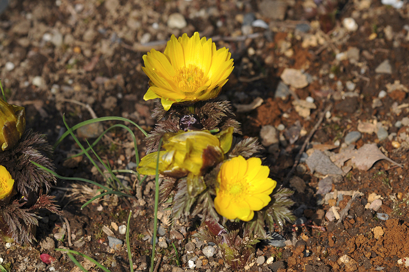 image0199