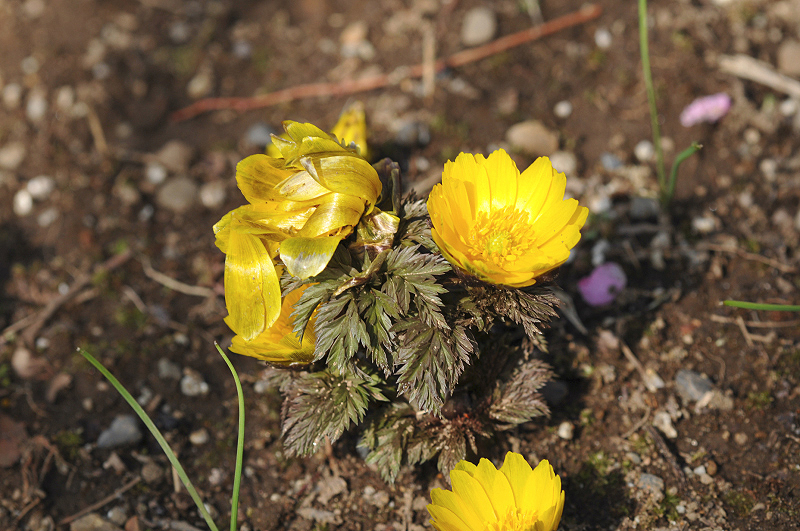 image0200