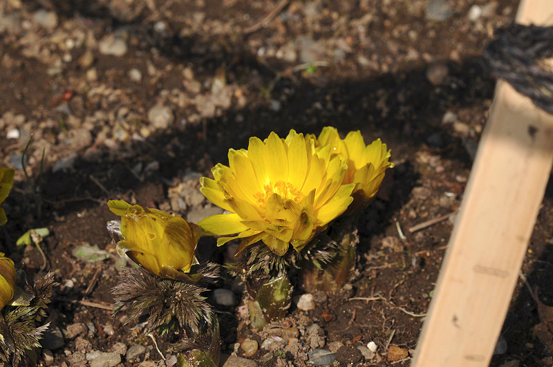 image0202