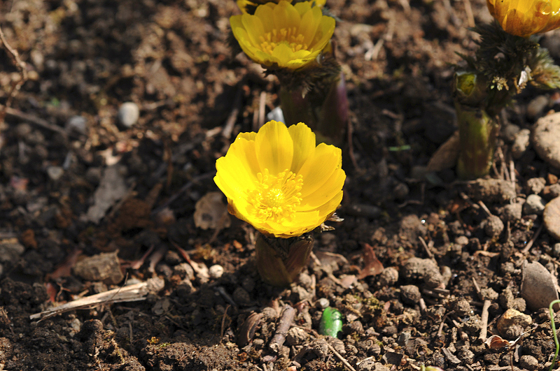 image0203
