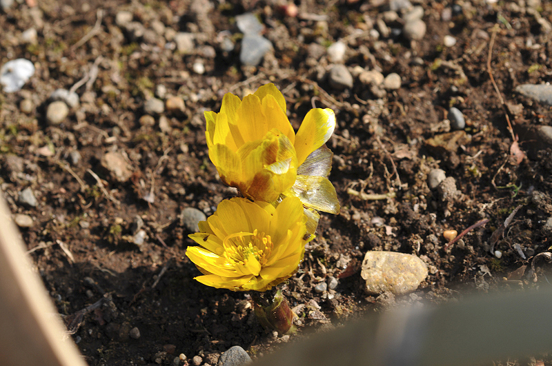 image0205