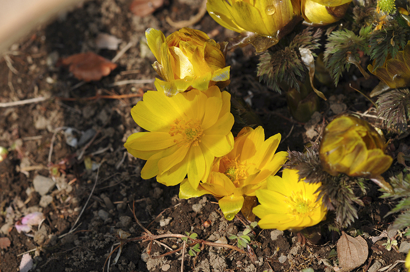 image0206