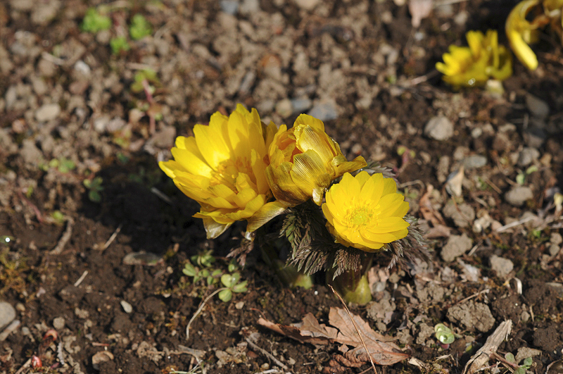 image0208