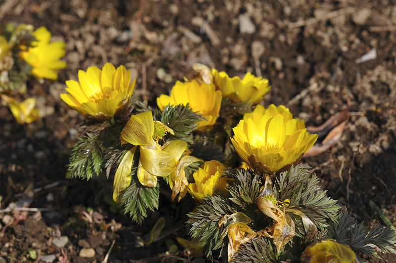 image0209