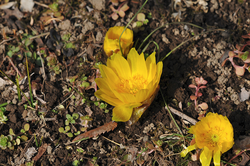 image0210