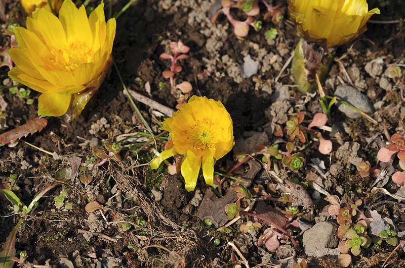image0211
