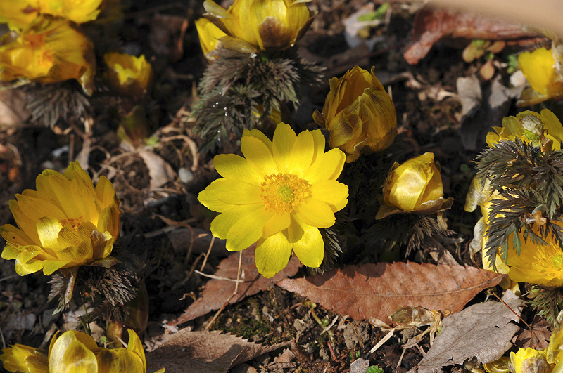 image0212