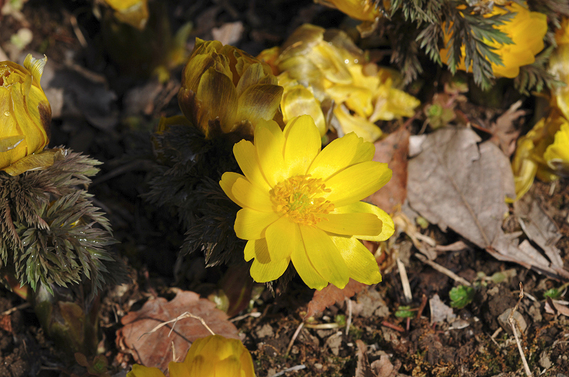 image0213