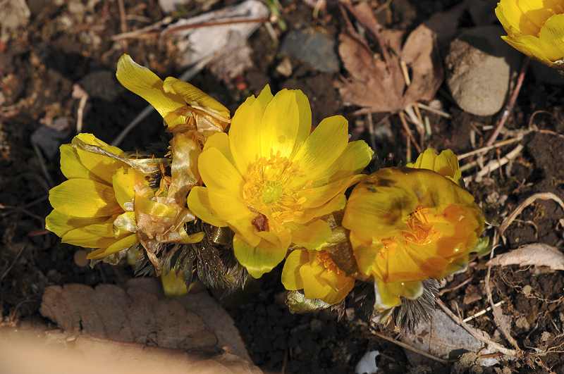 image0214