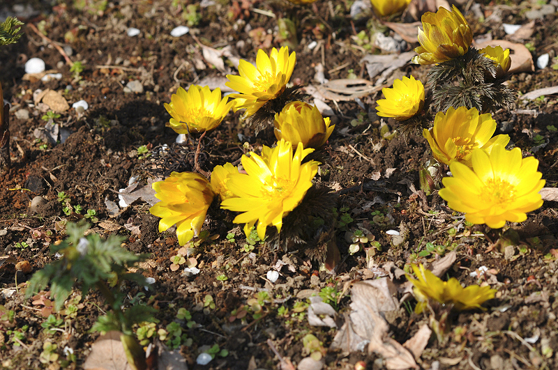 image0215
