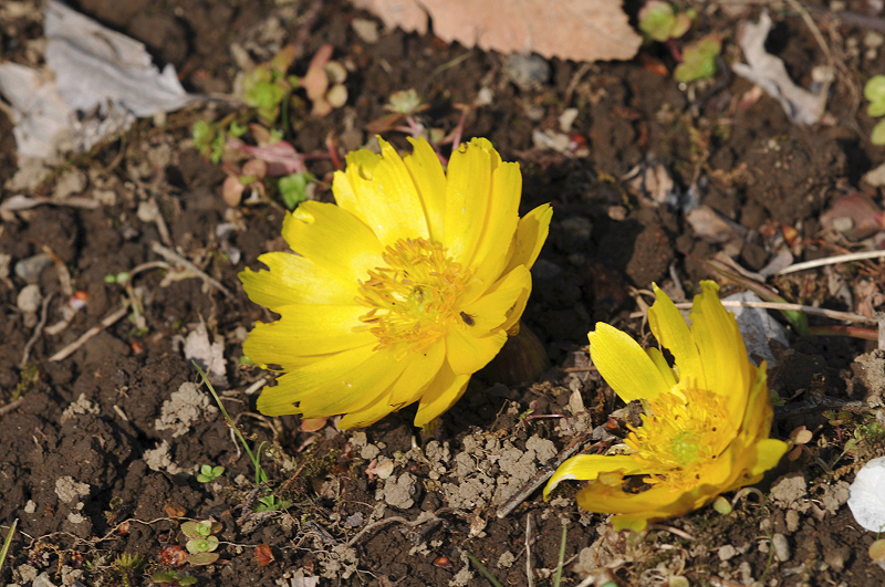 image0216