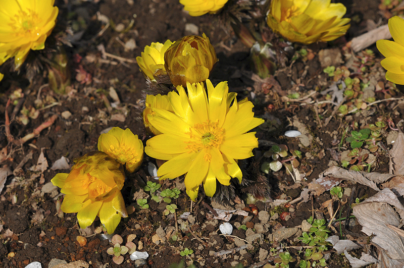 image0217