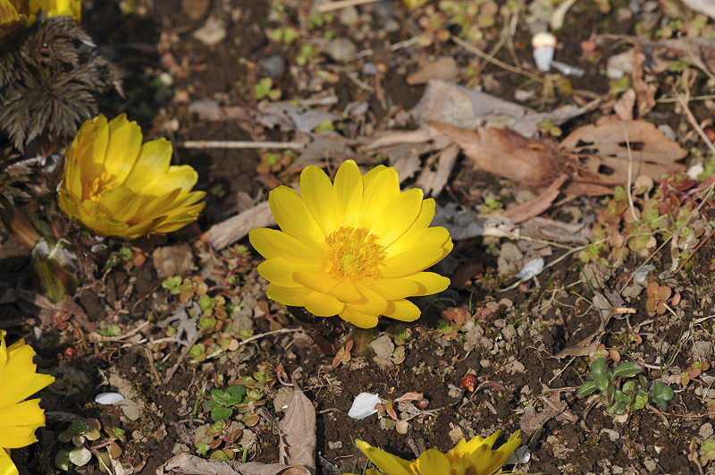image0218
