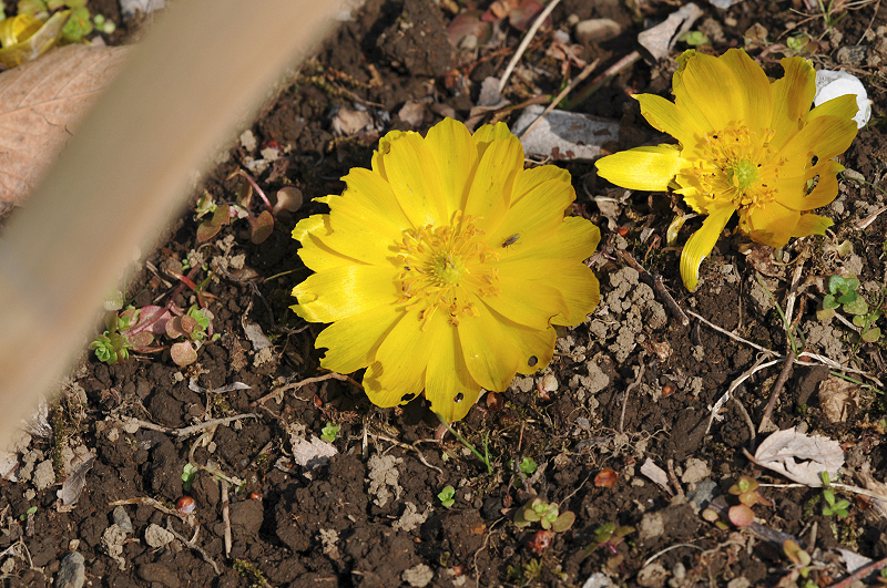 image0220
