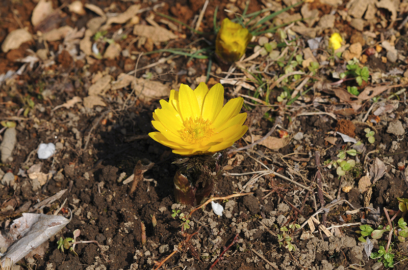 image0221