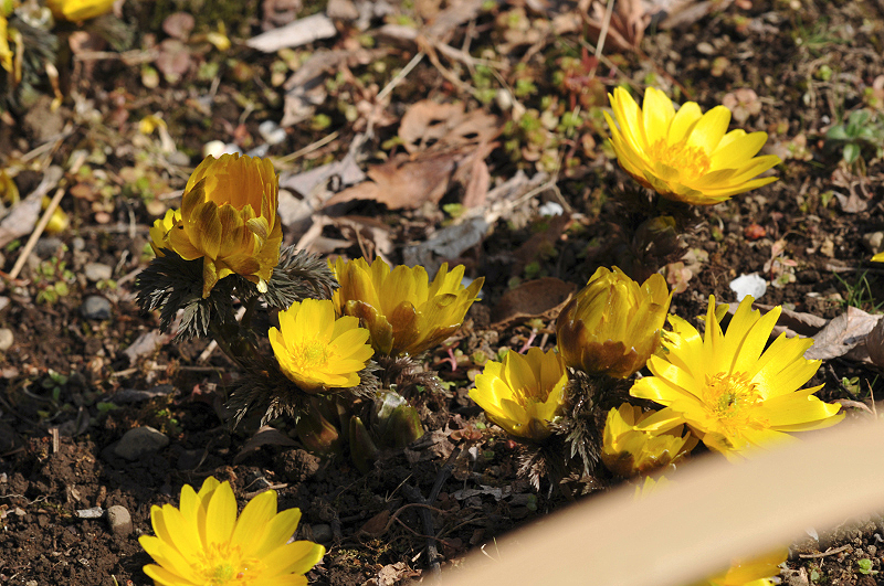 image0222