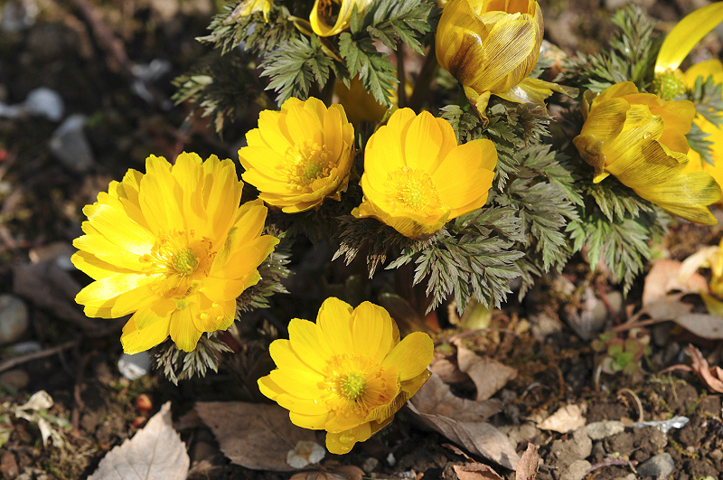 image0224